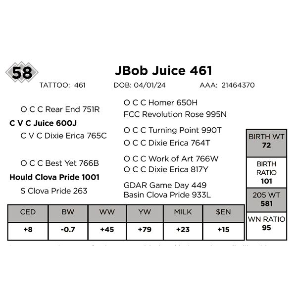 JBob Juice 461