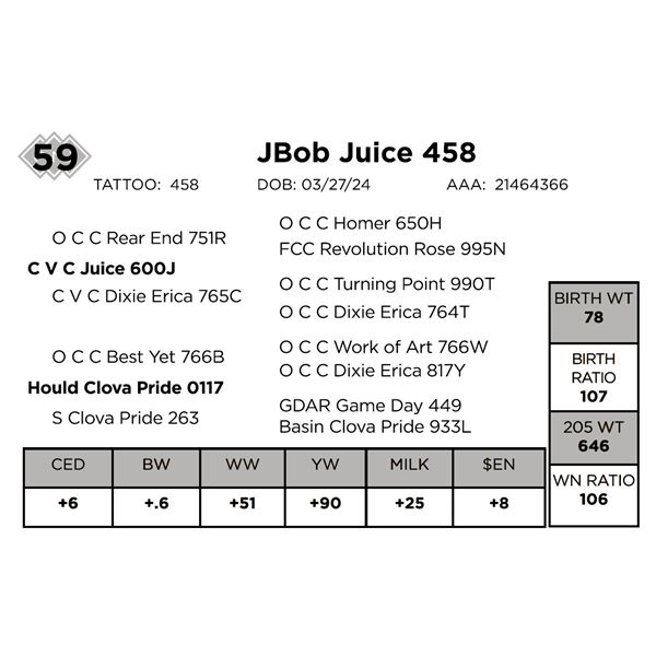 JBob Juice 458