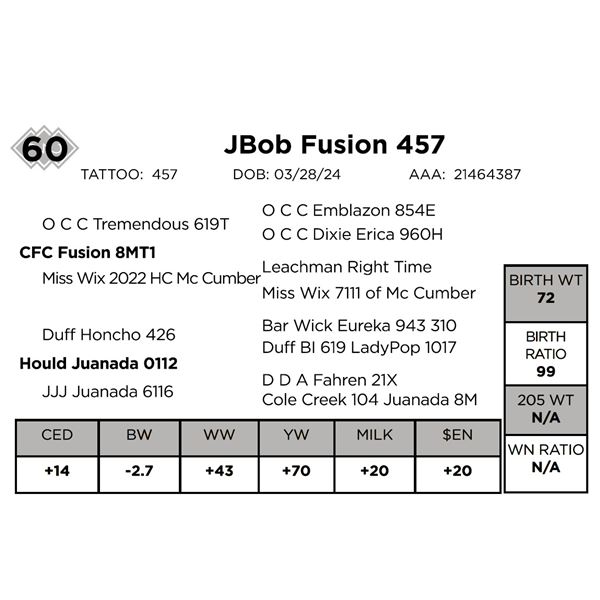 JBob Fusion 457
