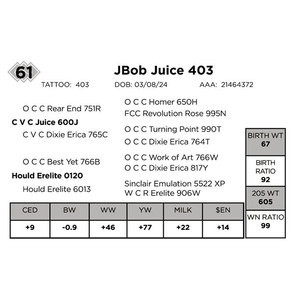 JBob Juice 403