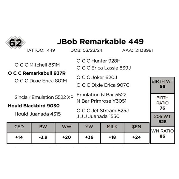 JBob Remarkable 449
