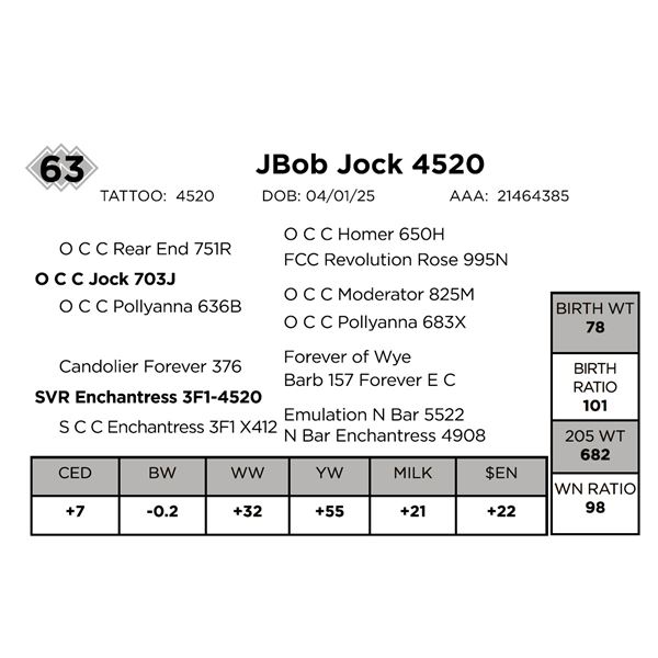 JBob Jock 4520