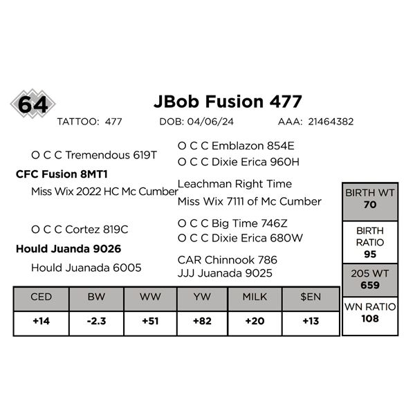 JBob Fusion 477