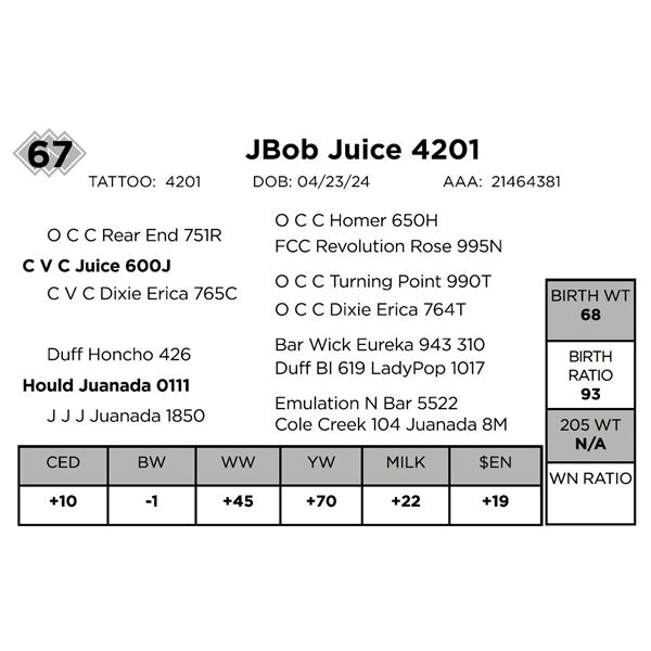 JBob Juice 4201