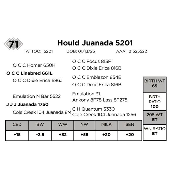Hould Juanada 5201