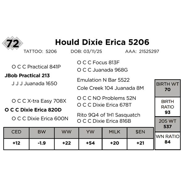 Hould Dixie Ericka 5206