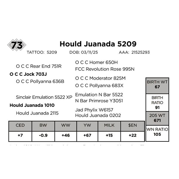 Hould Juanada 5209