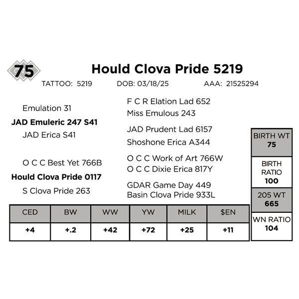 Hould Clova Pride 5219