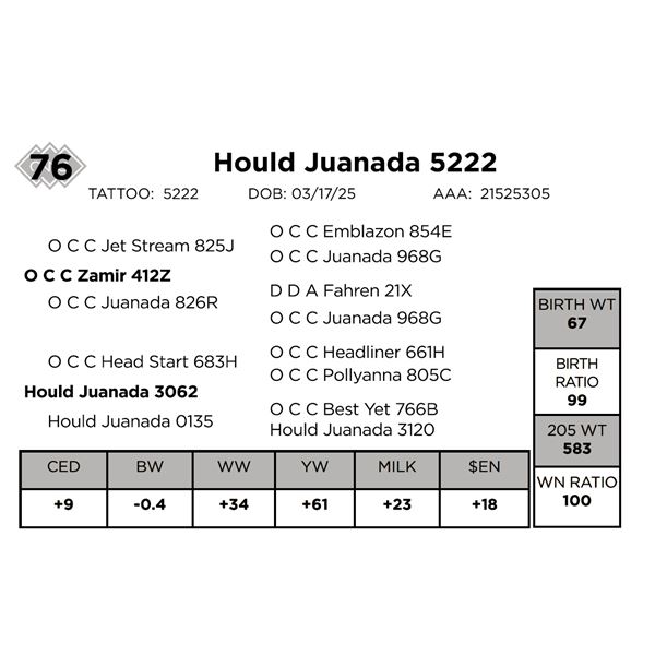 Hould Juanada 5222