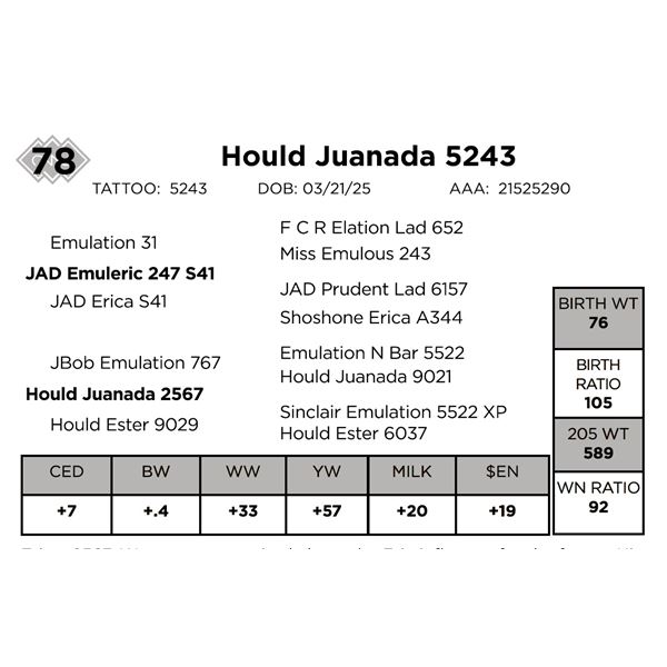 Hould Juanada 5243