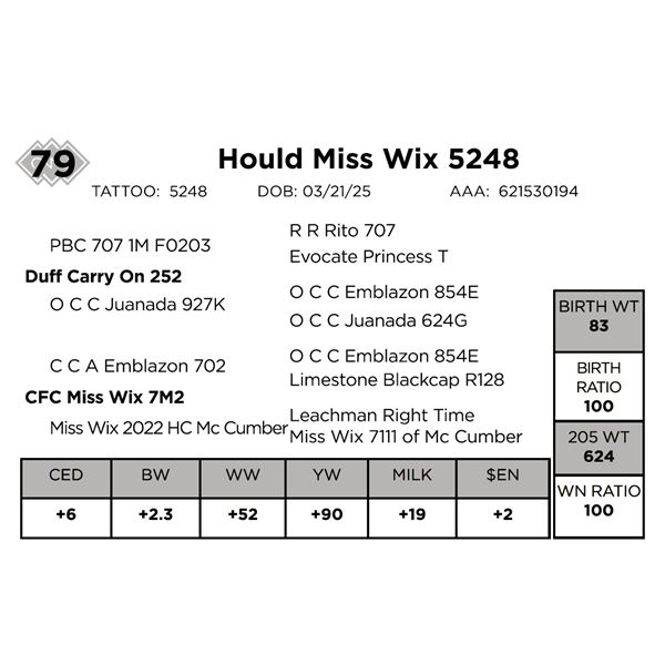 Hould Miss Wix 5248