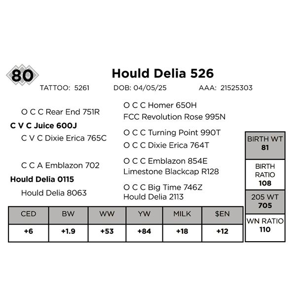 Hould Delia 526