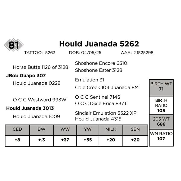 Hould Juanada 5262