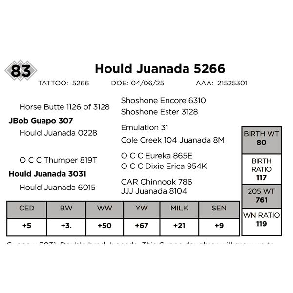 Hould Juanada 5266