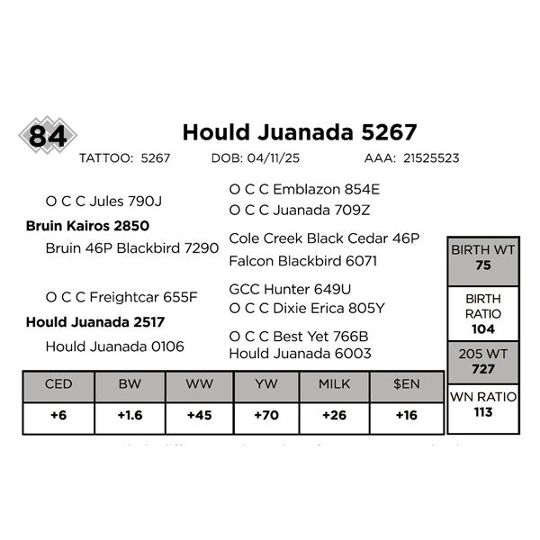 Hould Juanada 5267