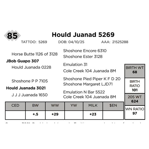 Hould Juanada 5269