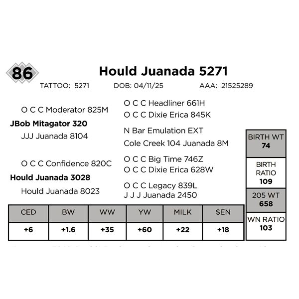 Hould Juanada 5271