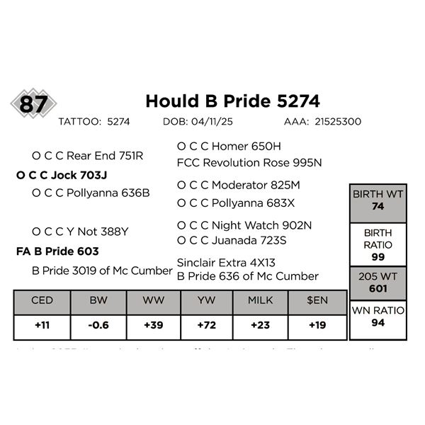 Hould B Pride 5274