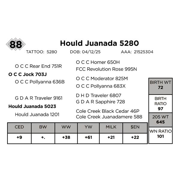 Hould Juanada 5280