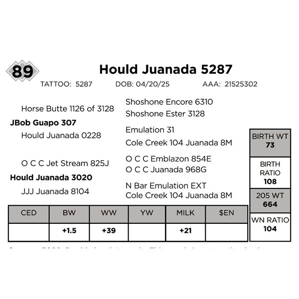 Hould Juanada 5287