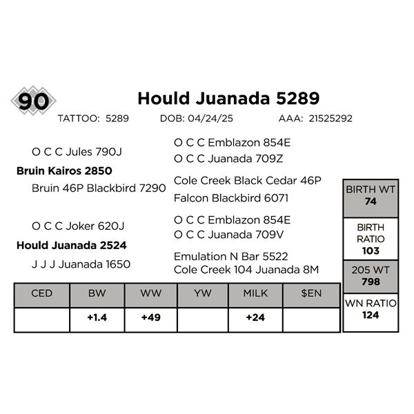 Hould Juanada 5289