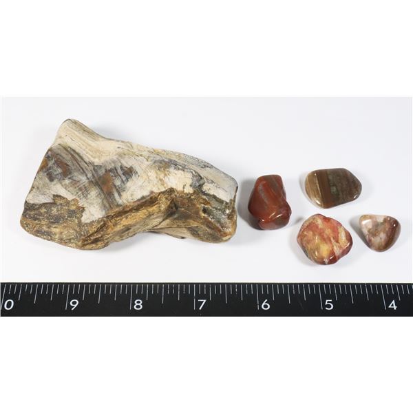 110-PETRIFIED WOOD WITH