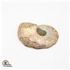 Image 2 : GENUINE AMMONITE SPECIMEN 6.7 GRAMS