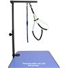 Image 1 : NEW UNBOXED DOWNTOWN PET SUPPLY GROOMING ARM