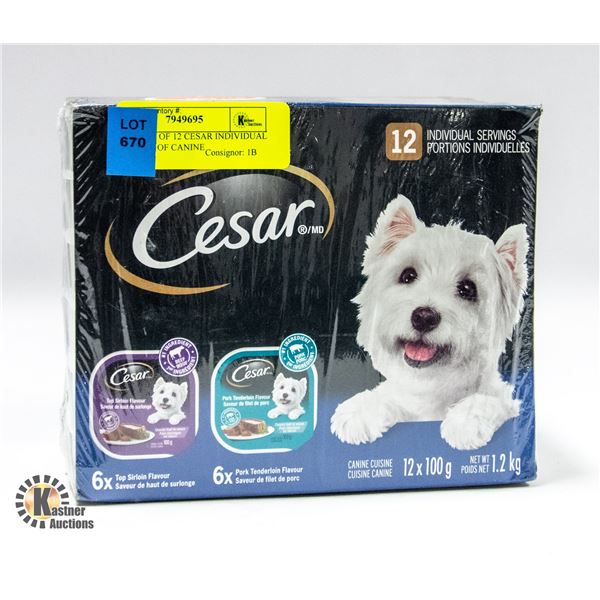 NEW CASE OF 12 CESAR INDIVIDUAL SERVINGS OF CANINE