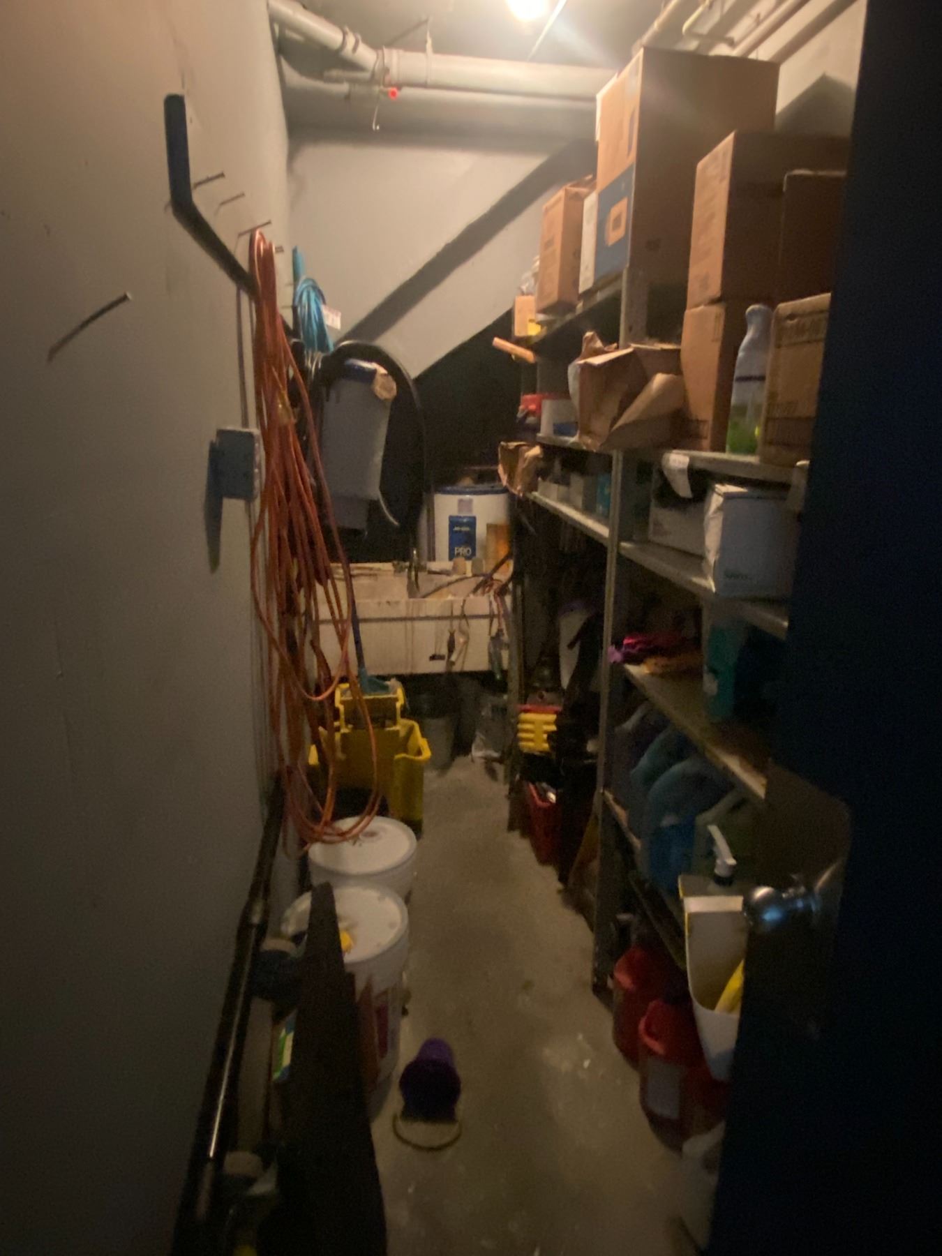 Jenitor Rrom CONTENTS OF FRONT JANITOR ROOM INCLUDING CLEANING CHEMICALS, MOBILE MOP ...