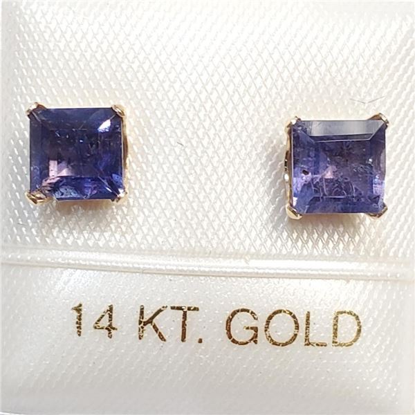 10K Yellow Gold Iolite Earrings (~Size 0) (~length 0 inches), Suggested Retail Value $100