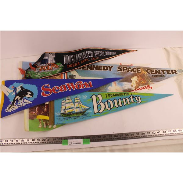 (6) Large Pennants