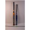 Image 1 : (2) Baseball Bats