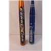 Image 2 : (2) Baseball Bats
