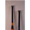 Image 3 : (2) Baseball Bats