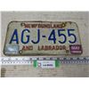 Image 1 : (1) Newfoundland 1994 License Plate