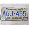 Image 3 : (1) Newfoundland 1994 License Plate