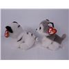 Image 2 : (2) Beanie Babies