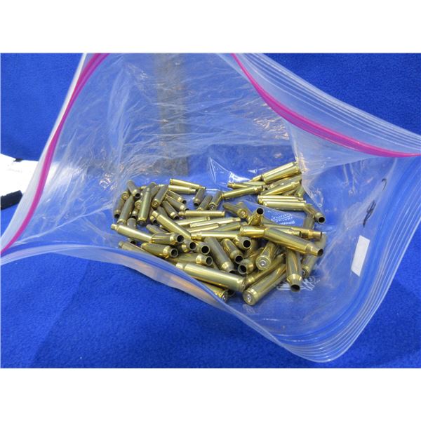Brass Only - 204 Ruger Unprimed - Bag of 89