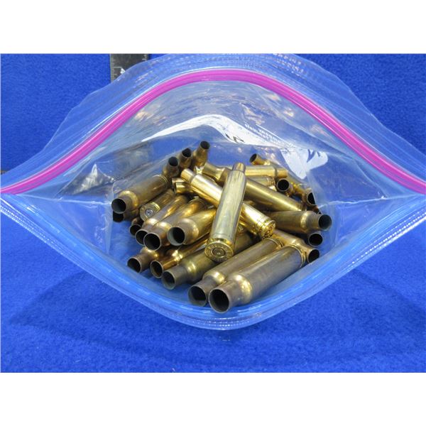 Brass Only - 300 Weatherby Mag Unprimed