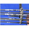 Image 2 : 7 Tiger SP 500 Arrows with Delta Series III Quiver