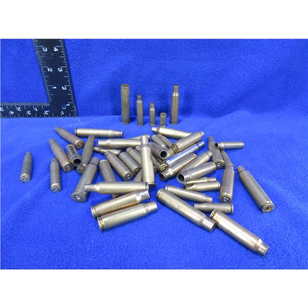 Brass Only - Bag of 47 Misc. Unprimed