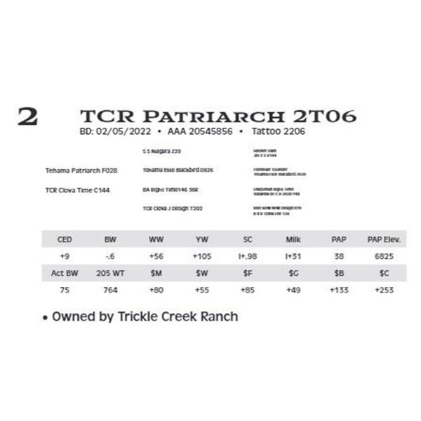 Lot 2 - TCR Patriarch 2T06