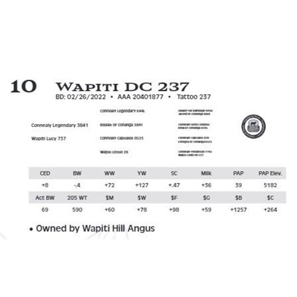 Lot 10 - Wapiti DC 237