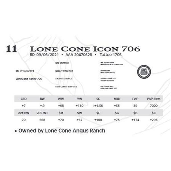 Lot 11 - Lone Cone Icon 706