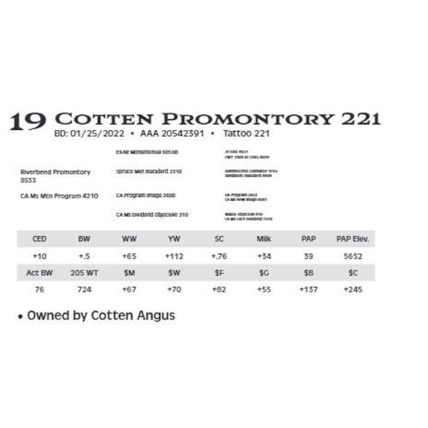 Lot 19 - Cotten Promontory 221