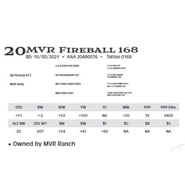 Lot 20 - MVR Fireball 168