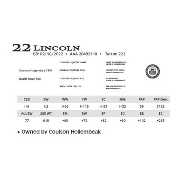 Lot 22 - Lincoln