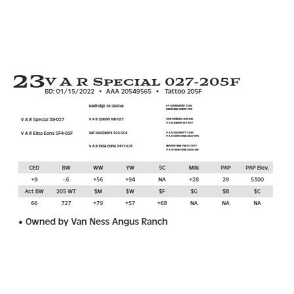 Lot 23 - V A R Special 027-205F