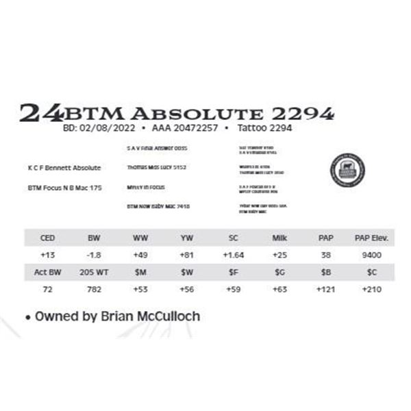 Lot 24 - BTM Absolute 2294